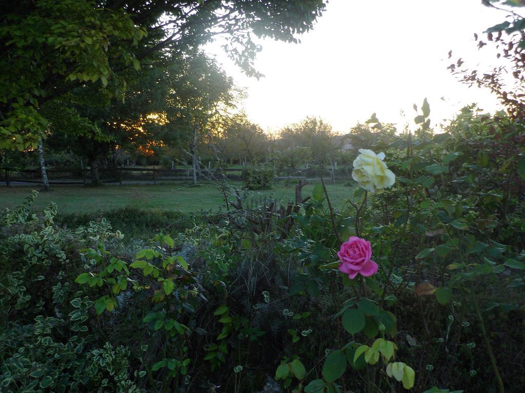 La Lunaire Bed & Breakfast Verteillac Bagian luar foto